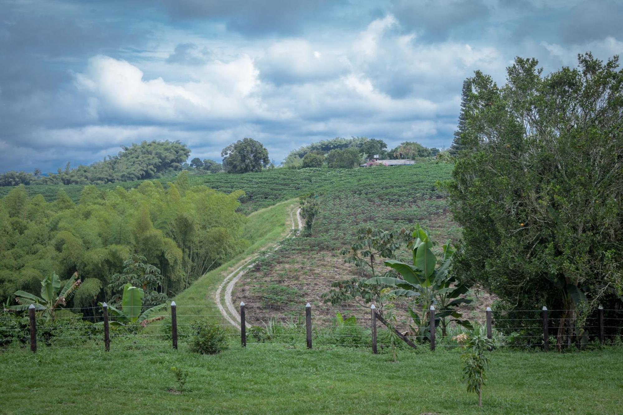 Finca Hotel Heron Quimbaya Ngoại thất bức ảnh